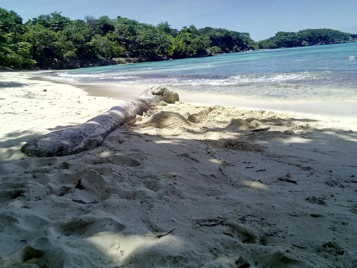 Porty Hostel Port Antonio Jamaica